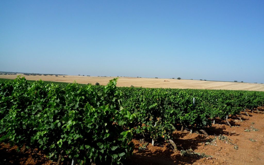 Herdade